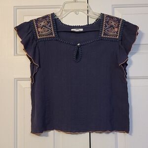 THML blue embroidered crop top